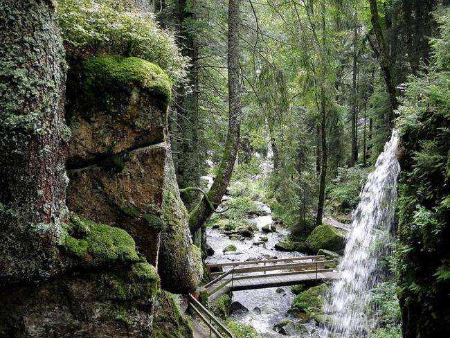 20 khu rừng đẹp nhất thế giới khiến bạn quên lối về