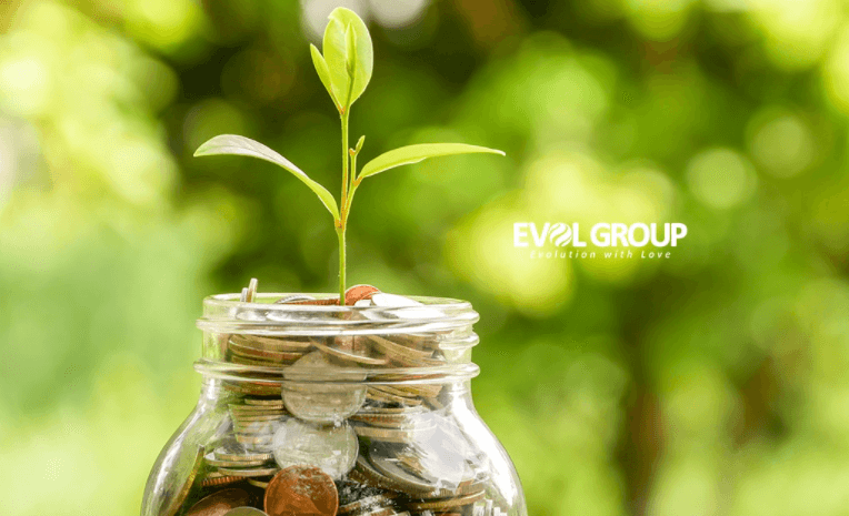 Đầu tư tài chính Evol là gì?