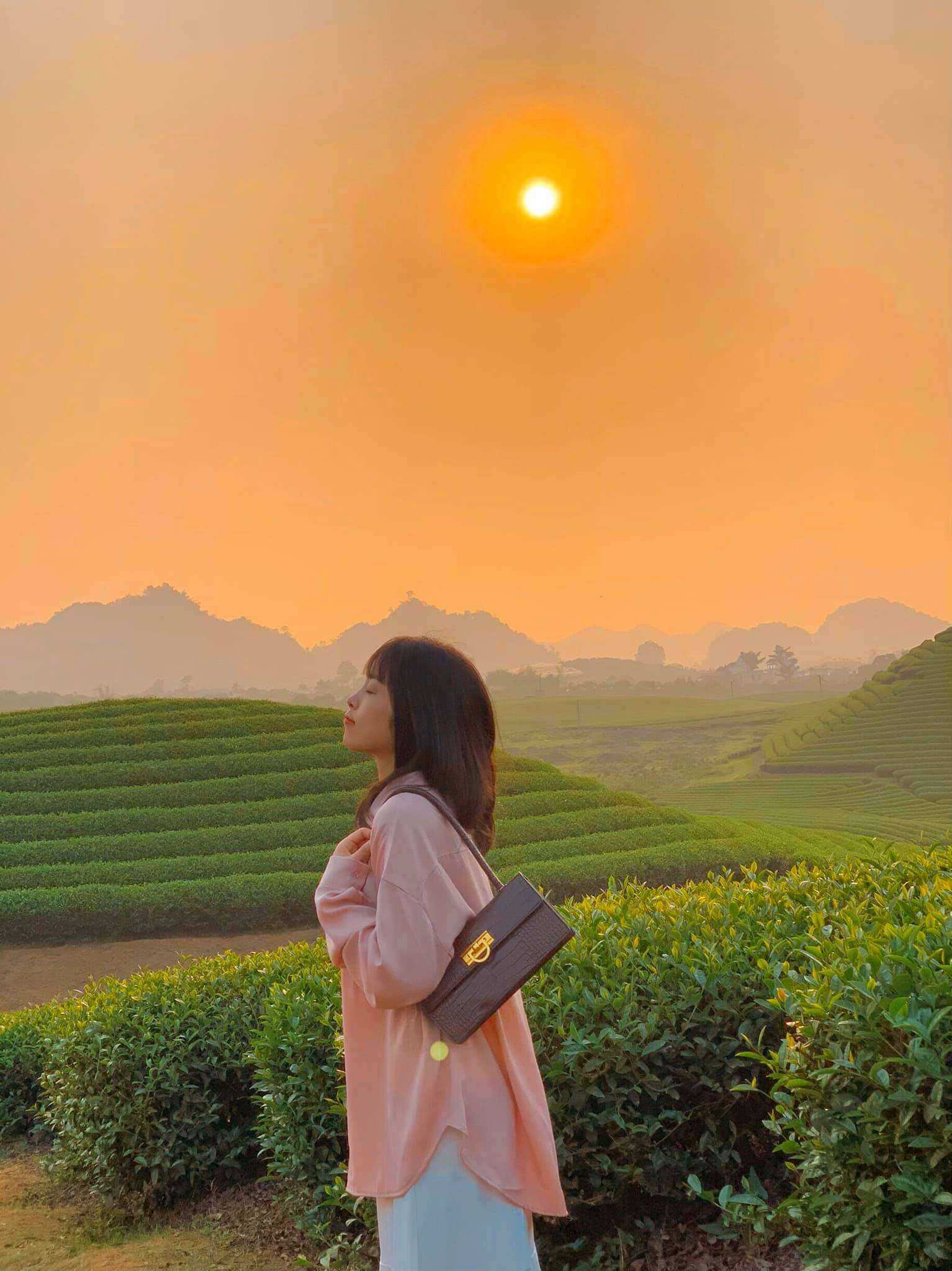 Những đồi chè dưới ánh hoàng hôn. Hình: Nguyễn Viễn