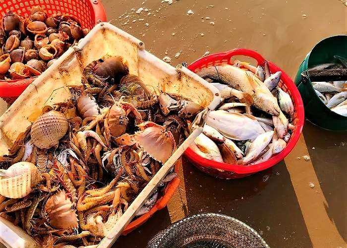 hải sản - món ăn nên thử tại biển Lộc An Vũng Tàu