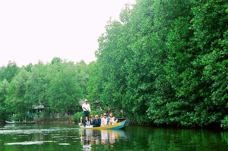 Cùng khám phá địa điểm Rừng ngập mặn Cần Giờ tại Hồ Chí Minh - GODY.VN